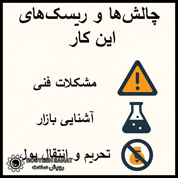 چالشها و ریسکهای این کار